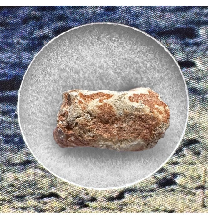 0.151 - 0.35g Lunar Meteorite NWA 16372 Troctolitic Anorthosite Meteorite (SKU M2519)