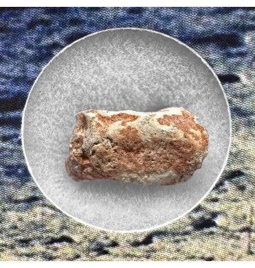 0.151 - 0.35g Lunar Meteorite NWA 16372 Troctolitic Anorthosite Meteorite (SKU M2519)