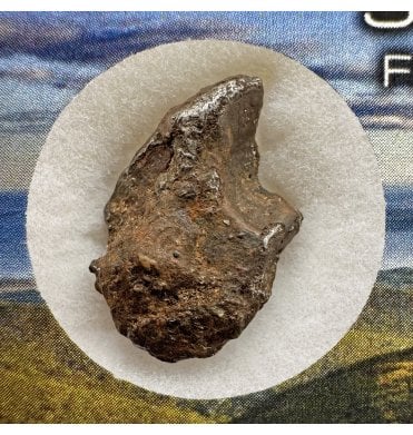 1-2g Sikhote Alin Iron Meteorite (SKU M2218)