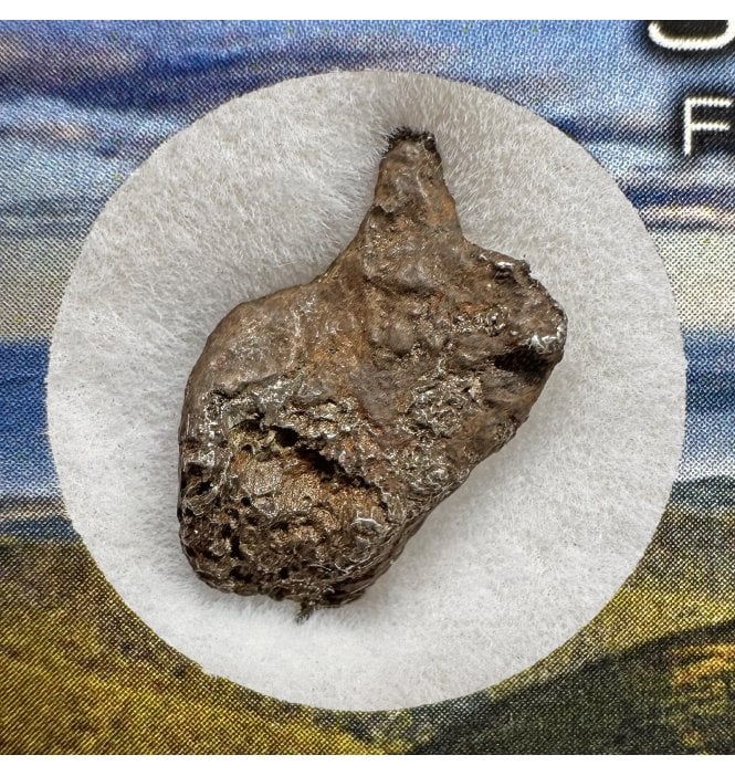 1-2g Sikhote Alin Iron Meteorite (SKU M2221)