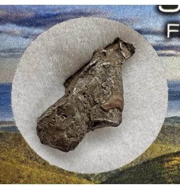 1-2g Sikhote Alin Iron Meteorite (SKU M2228)