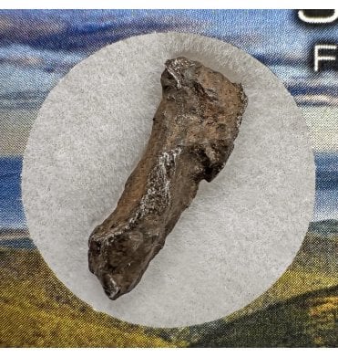 1-2g Sikhote Alin Iron Meteorite (SKU M2233)