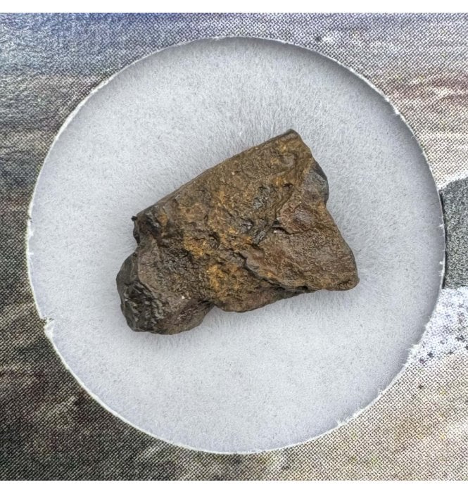 >1 g Canyon Diablo Iron Meteorite (SKU M1626)