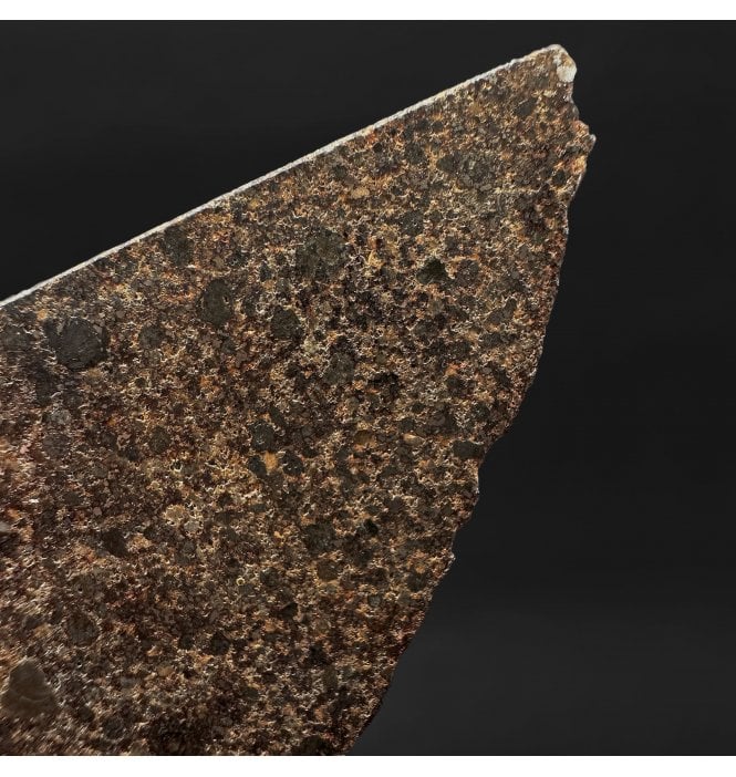 13g NWA 869/L4-6 Stoney Meteorite Bracciated Chondrite Slice (SKU M2449)