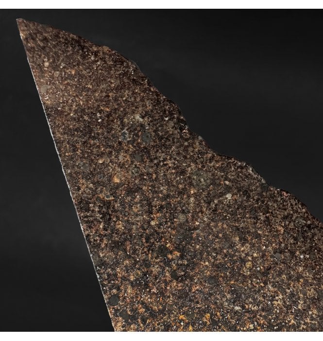 16g NWA 869/L4-6 Stoney Meteorite Bracciated Chondrite Slice (SKU M2451)