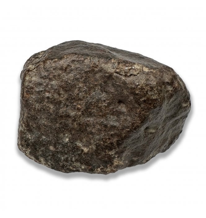 177g NWA 869 Stoney (Chondrite) Meteorite (SKU M2632)