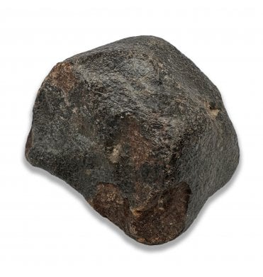 243g NWA 869 Stoney (Chondrite) Meteorite (SKU M2634)