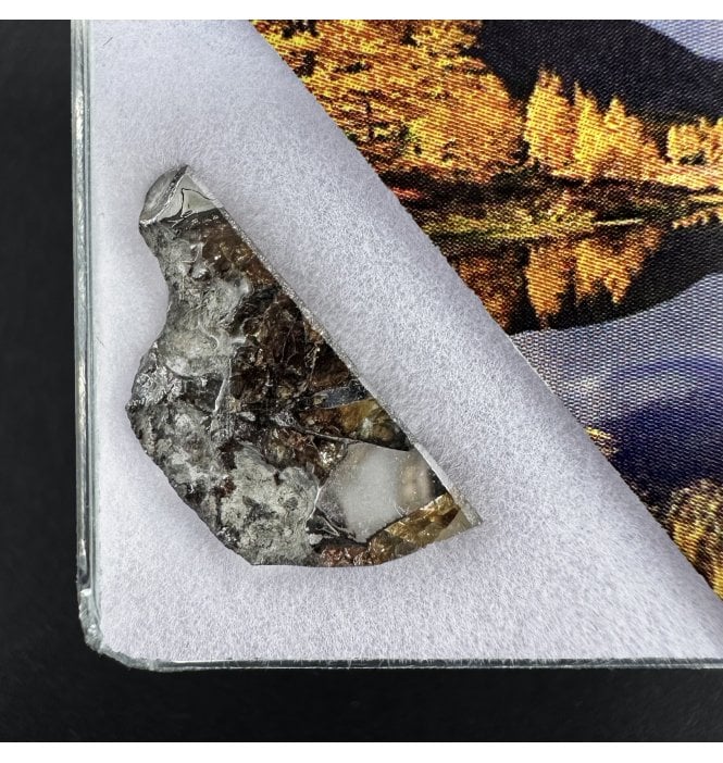 >2g Seymchan Pallasite Meteorite (SKU M2288)