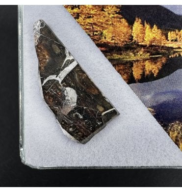 >2g Seymchan Pallasite Meteorite (SKU M2294)