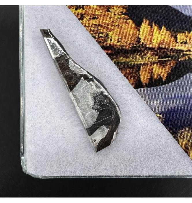 >2g Seymchan Pallasite Meteorite (SKU M2298)