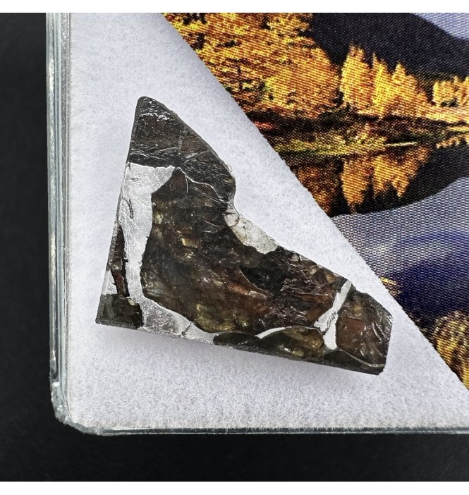 >2g Seymchan Pallasite Meteorite (SKU M2299)