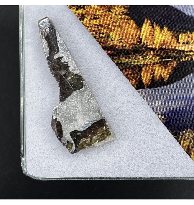 >2g Seymchan Pallasite Meteorite (SKU M2300)