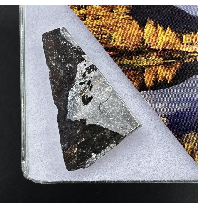 >2g Seymchan Pallasite Meteorite (SKU M2301)