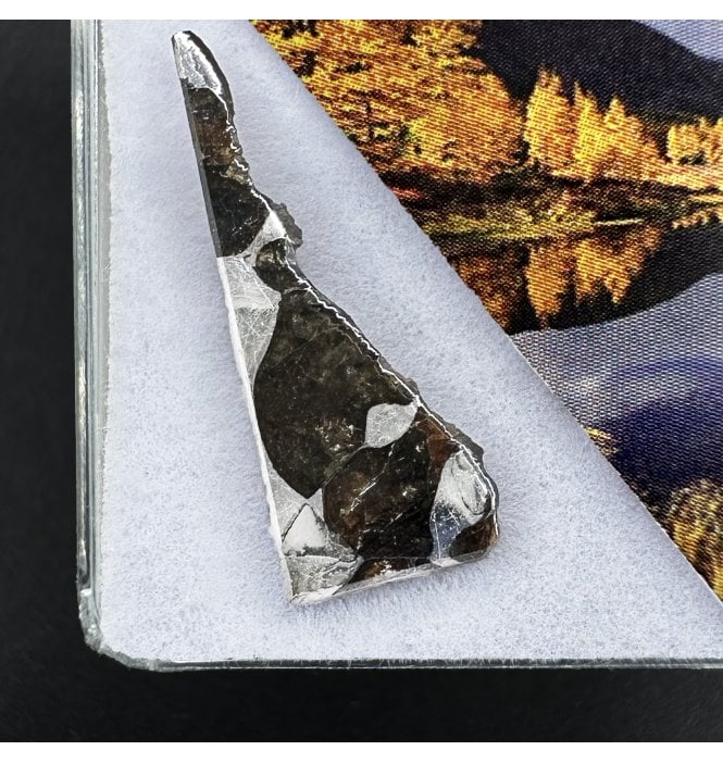 >2g Seymchan Pallasite Meteorite (SKU M2305)