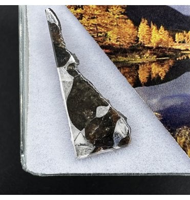 >2g Seymchan Pallasite Meteorite (SKU M2305)