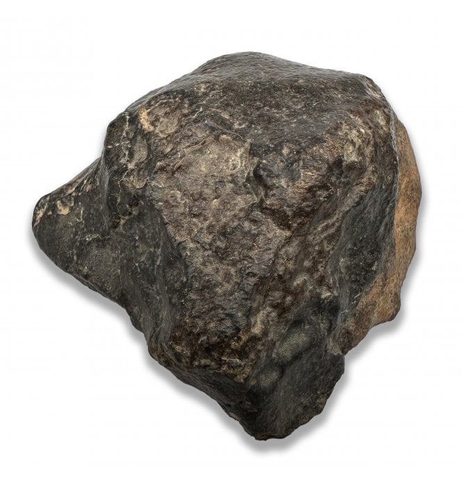 370g NWA 869 Stoney (Chondrite) Meteorite (SKU M2636)