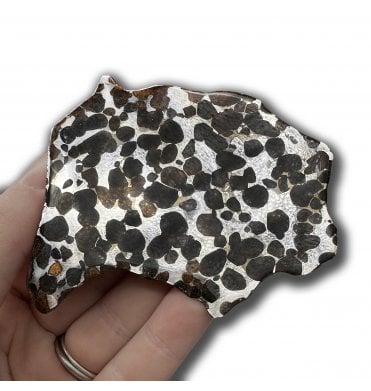 47g Sericho Pallasite Slice Stony-Iron Meteorite (SKU M2470)