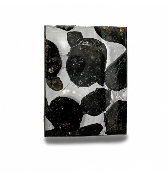 4g Sericho Pallasite Slice Stony-Iron Meteorite (SKU M2135)