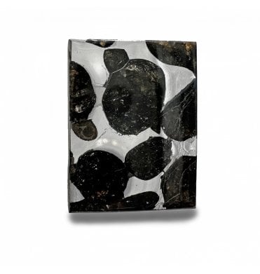 4g Sericho Pallasite Slice Stony-Iron Meteorite (SKU M2135)