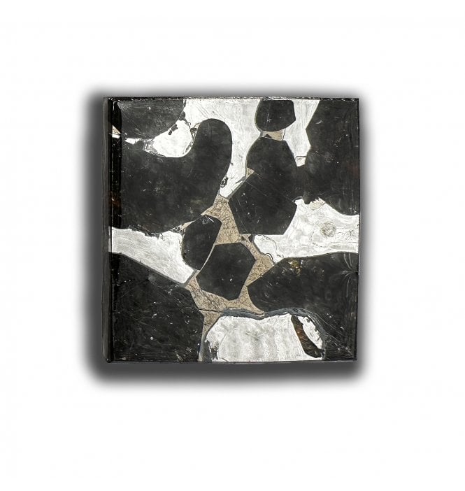 4g Sericho Pallasite Slice Stony-Iron Meteorite (SKU M2460)