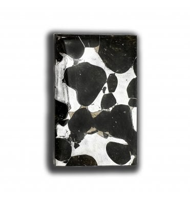 7g Sericho Pallasite Slice Stony-Iron Meteorite (SKU M2468)