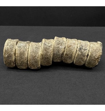 8 Lower Lias, Lower Jurassic Ichthyosaurus Vertebrae from Charmouth, Dorset, England (SKU V8396)