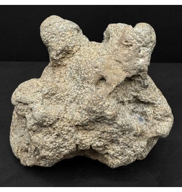 British Cretaceous Wealden Baby Ornithopod Footprint (Natural Cast) from Hastings, East Sussex, England (SKU V8760):- Ornithopod sp.