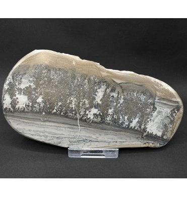 British Late Triassic Stromatolite from North Somerset, England (SKU OF4026):- Cotham Marble