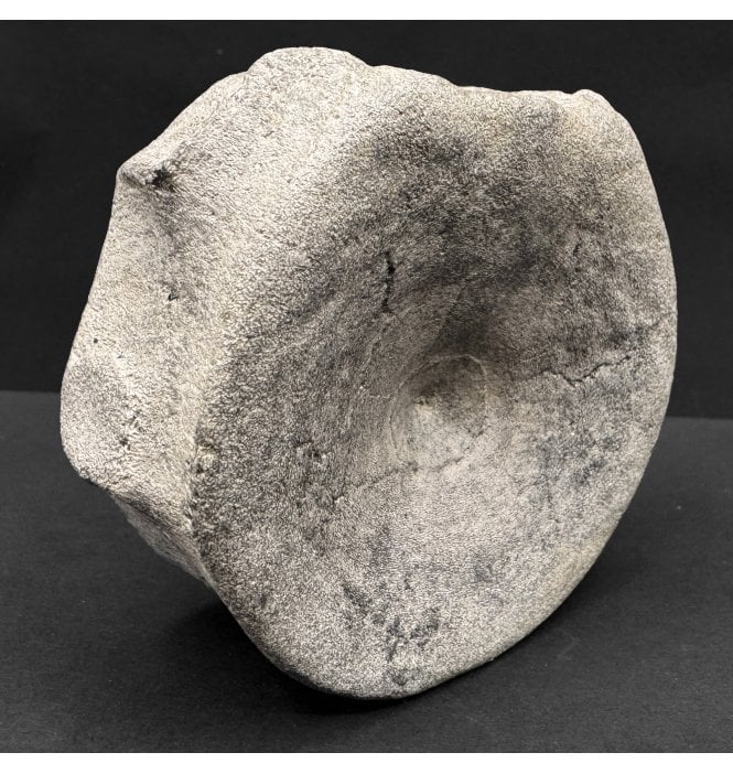 British Middle Jurassic Ichthyosaurus Vertebra from Peterborough, Cambridgeshire, England (SKU V8108):- Opthalmosaurus icenicus