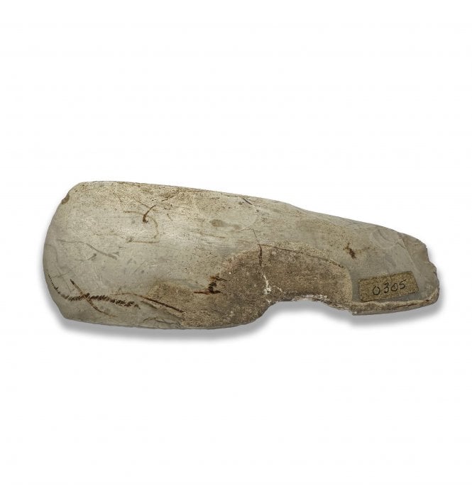 British Palaeolithic Polished Flint Hand Axe from Medway, Kent, England (SKU TOOL203)