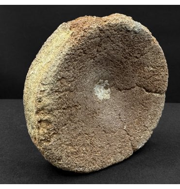 British Upper Jurassic Ichthyosaurus Vertebra from Oxfordshire, England (SKU V8873):- Brachypterigus cf. extremis