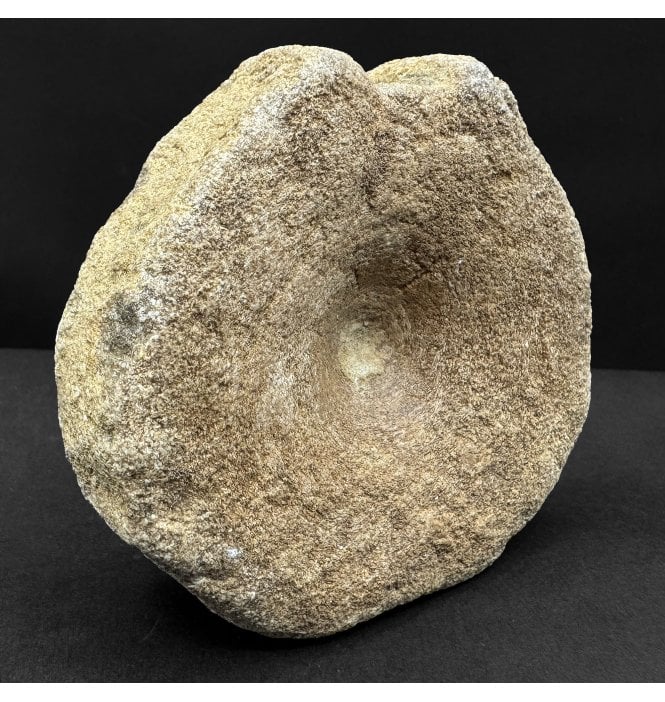 British Upper Jurassic Ichthyosaurus Vertebra from Oxfordshire, England (SKU V8875):- Brachypterigus cf. extremis