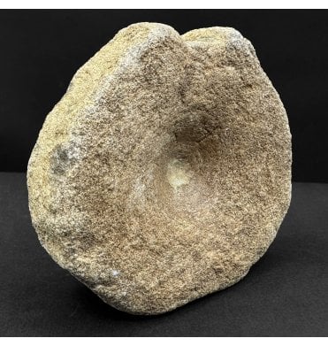British Upper Jurassic Ichthyosaurus Vertebra from Oxfordshire, England (SKU V8875):- Brachypterigus cf. extremis