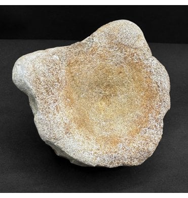 British Upper Jurassic Ichthyosaurus Vertebra from Oxfordshire, England (SKU V8876):- Brachypterigus cf. extremis