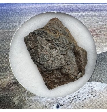 Canyon Diablo Iron Meteorite (SKU M1853)