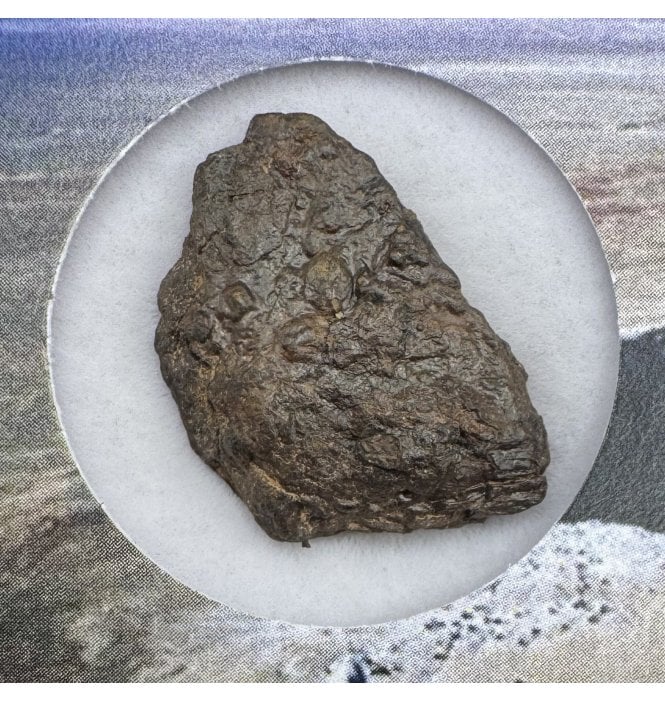 Canyon Diablo Iron Meteorite (SKU M1854)
