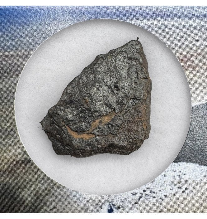 Canyon Diablo Iron Meteorite (SKU M1855)
