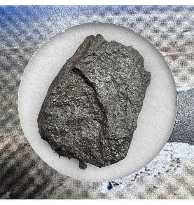 Canyon Diablo Iron Meteorite (SKU M1856)