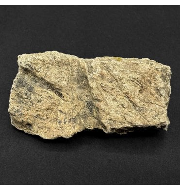 Ceratopsian (Triceratops) Frill Fragment from South Dakota, USA (SKU V9346):- Triceratops horridus