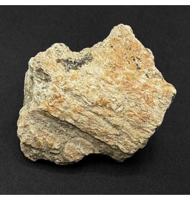 Ceratopsian (Triceratops) Frill Fragment from South Dakota, USA (SKU V9348):- Triceratops horridus