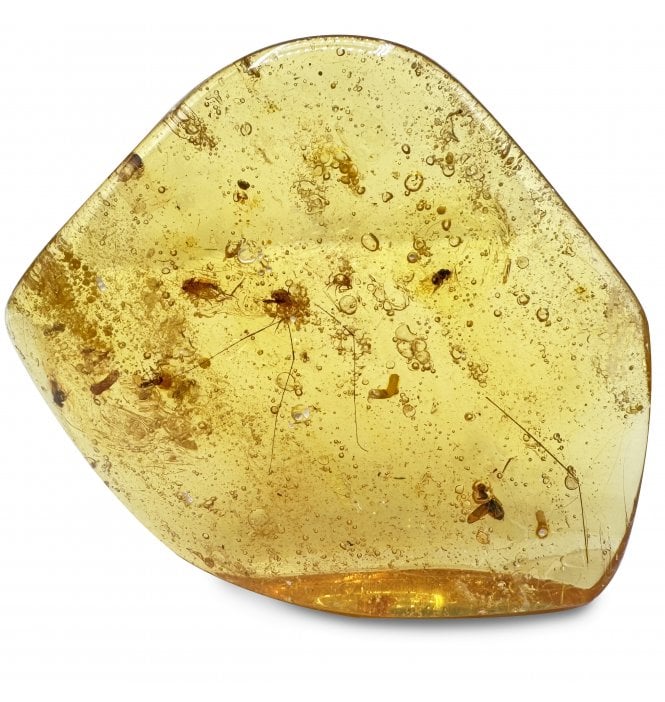 Copal with Insect Inclusions from Columbia (SKU OF3454):- Formicidae, Chalcidoidea, Araneae, Cecidomyiidae, Phoridae, Chironomidae, Cicadellidae