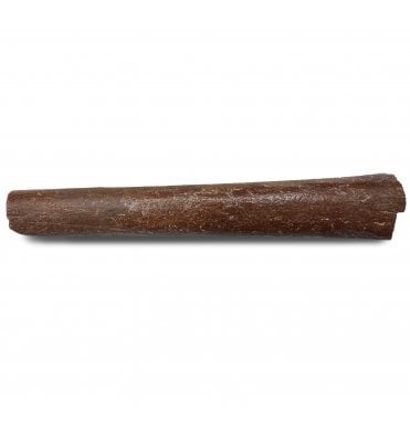 Cretaceous Ornithocheirid (Pterosaur) Wing Bone from Morocco (SKU V8258):- Siroccopteryx cf. moroccensis