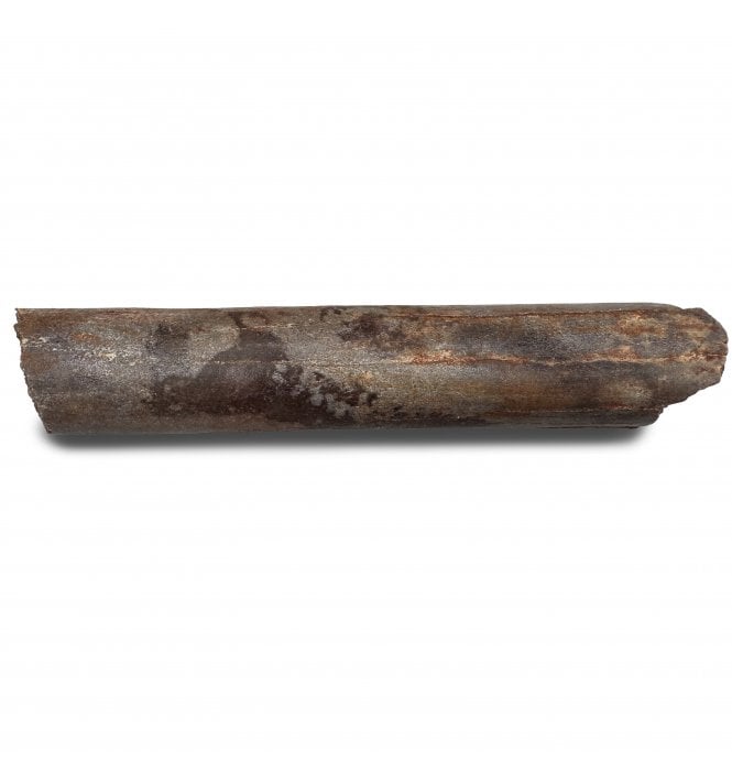 Cretaceous Ornithocheirid (Pterosaur) Wing Bone from Morocco (SKU V8259):- Siroccopteryx cf. moroccensis
