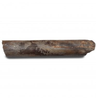 Cretaceous Ornithocheirid (Pterosaur) Wing Bone from Morocco (SKU V8259):- Siroccopteryx cf. moroccensis