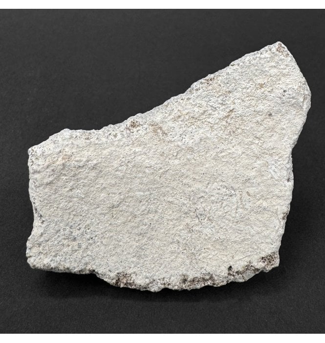 Cretaceous Titanosaur Dinosaur Egg Shell from Argentina (SKU V9307):- Saltasaurus loricatus