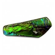 Ammolite