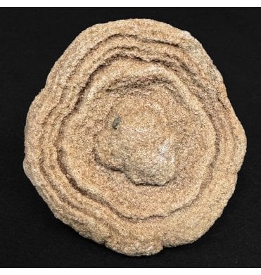 Desert Stromatolite from Morocco, North Africa (SKU OF4358)