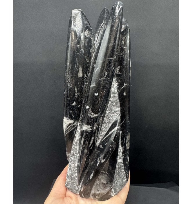 Devonian Orthoceras (Fossil Squid) Tower Sculpture from Morocco (G92):- Orthoceras sp.