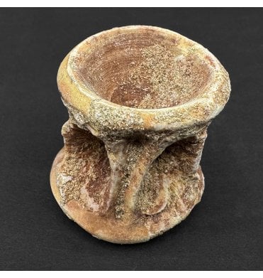 Eocene Fossil Fish Vertebra from Morocco (SKU V8189)