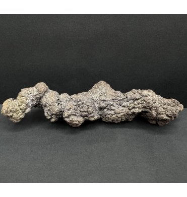 Eocene Fossil Turtle Poo (Coprolite) from Madagascar (SKU V8404)
